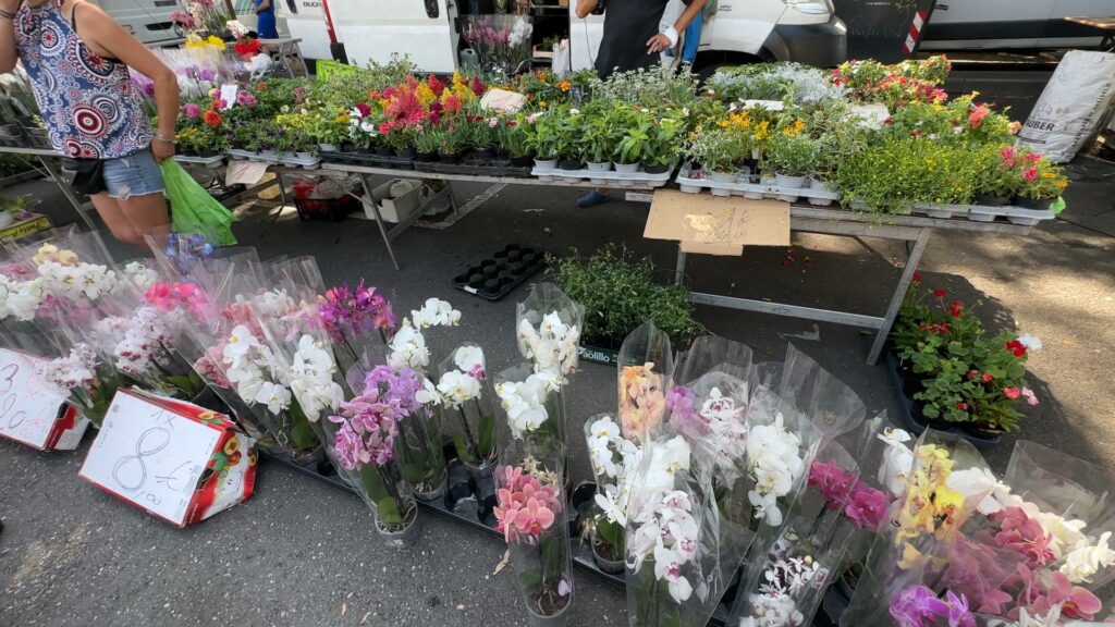 Freitagmarkt Meran Stand mit Blumen